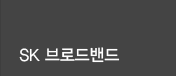 SK브로드밴드