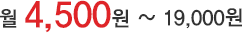 월 4,500원~19,000원