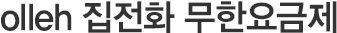 olleh 집전화 무한요금제