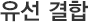 유선 결합